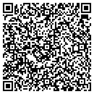 QR-код с контактной информацией организации Алтын Ағаш, ИП