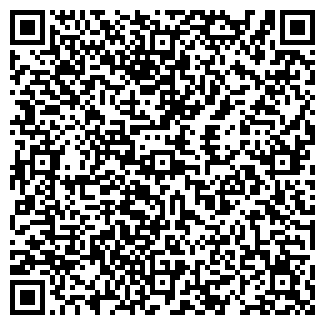 QR-код с контактной информацией организации ИП Киш Андрей
