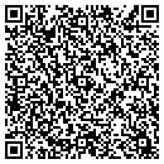 QR-код с контактной информацией организации Модистка, ИП