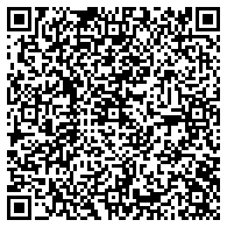 QR-код с контактной информацией организации КИСЕЛЕВ, ИП