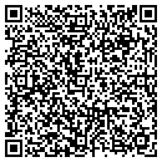 QR-код с контактной информацией организации Карнавальные костюмы, ЧП