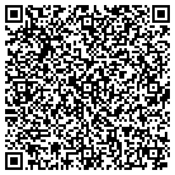 QR-код с контактной информацией организации РК Святогор, Компания