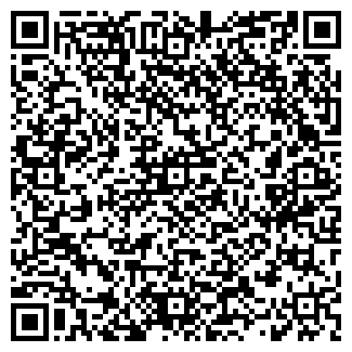 QR-код с контактной информацией организации Primavera, ЧП