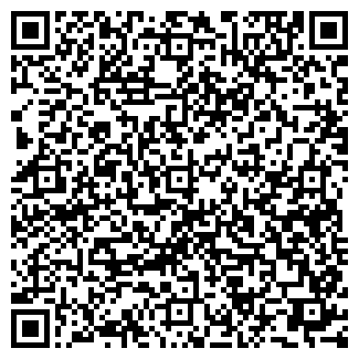 QR-код с контактной информацией организации Алеся, ЧП