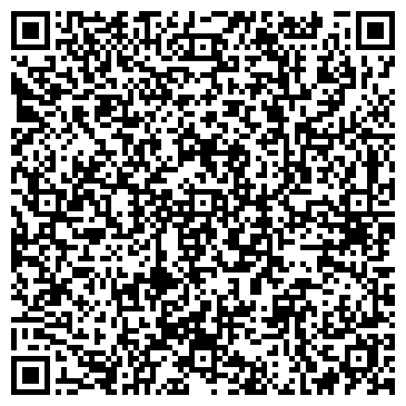 QR-код с контактной информацией организации V & S Pinegina (В &С Пинегина), ИП