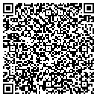 QR-код с контактной информацией организации Дино, ООО