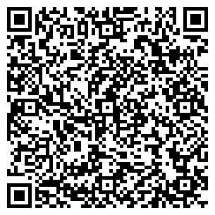 QR-код с контактной информацией организации Влад, ООО
