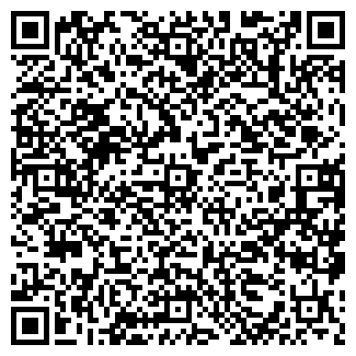 QR-код с контактной информацией организации Мистерия, ЧП