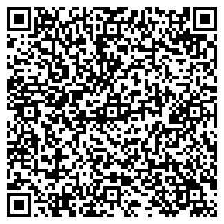 QR-код с контактной информацией организации За рулём Торговый Дом, ИП