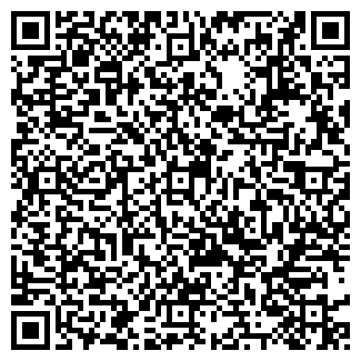 QR-код с контактной информацией организации Еuromig, ООО