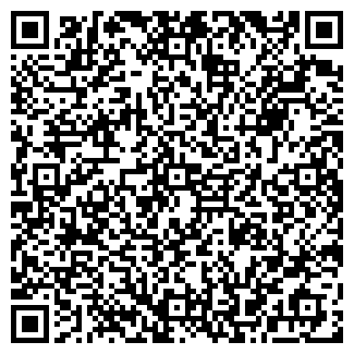 QR-код с контактной информацией организации MirPraznik, ЧП