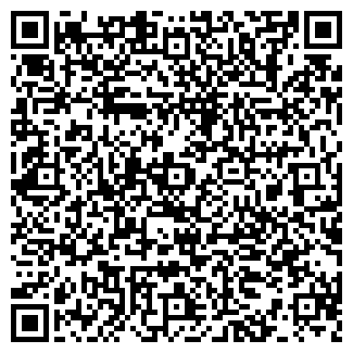 QR-код с контактной информацией организации Карнавал, ИП