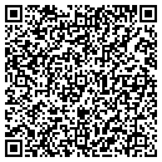 QR-код с контактной информацией организации Пугина, ИП