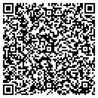 QR-код с контактной информацией организации Дигич, СПД