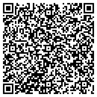 QR-код с контактной информацией организации Субъект предпринимательской деятельности Литару