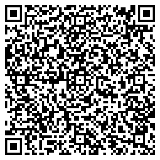 QR-код с контактной информацией организации Бипэк Авто, ТОО