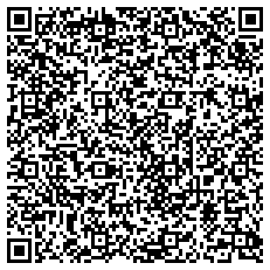 QR-код с контактной информацией организации Первая лизинговая компания АЛД Автомотив, ООО