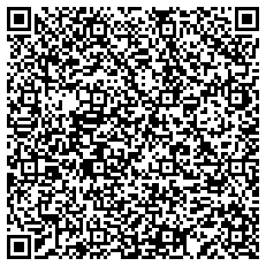 QR-код с контактной информацией организации Alizo Konsalt (Ализо Кнсальт), ИП