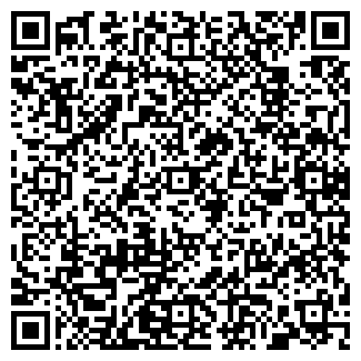QR-код с контактной информацией организации ИП Dlyasebya
