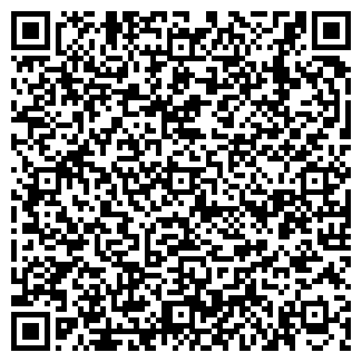 QR-код с контактной информацией организации Субъект предпринимательской деятельности VIP Technology