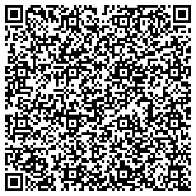 QR-код с контактной информацией организации Субъект предпринимательской деятельности Студия аэрографии «LightmanGroup»