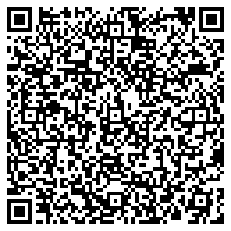 QR-код с контактной информацией организации ИП Спец Дизель