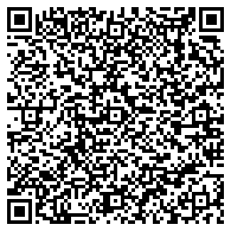 QR-код с контактной информацией организации Молянов, ИП