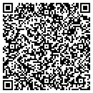 QR-код с контактной информацией организации Kindershop, ЧП