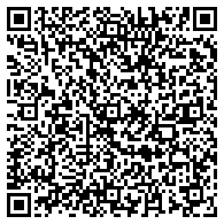 QR-код с контактной информацией организации Светлица АРТ, ООО (Світлиця АРТ)