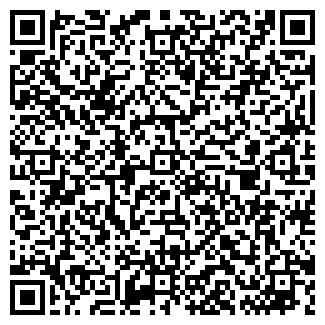 QR-код с контактной информацией организации Малиев, ИП