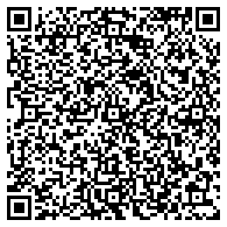 QR-код с контактной информацией организации Шатыгин В., ИП