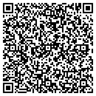 QR-код с контактной информацией организации Александрит, ИП