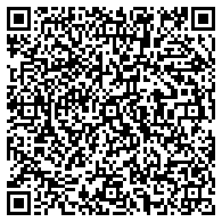 QR-код с контактной информацией организации Палади, ООО