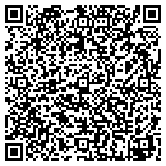 QR-код с контактной информацией организации Электроинвест-2010, ЧП