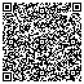 QR-код с контактной информацией организации Ивис, ЧП