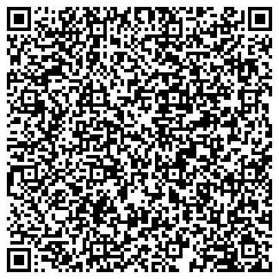 QR-код с контактной информацией организации Торговый дом Дизель Сервис, ТОО