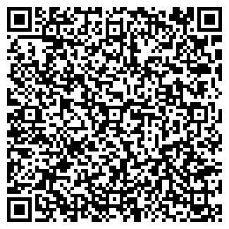 QR-код с контактной информацией организации Dz9iphone