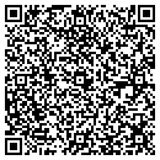 QR-код с контактной информацией организации Субъект предпринимательской деятельности ЧП Игнатьев