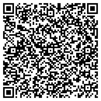 QR-код с контактной информацией организации DreamTeam, ЧП