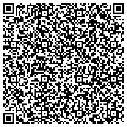 QR-код с контактной информацией организации Мегеря Е. А.,студия веб-разработок Dstudio, СПД