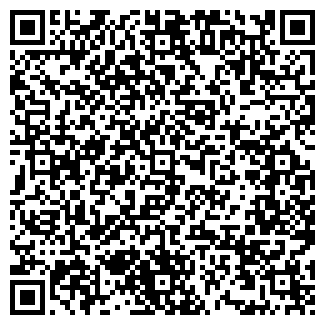 QR-код с контактной информацией организации Шершнев, ИП