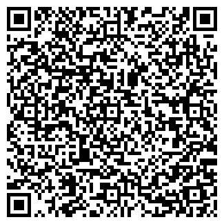 QR-код с контактной информацией организации В. В. В., ООО