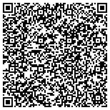 QR-код с контактной информацией организации Печник-трубочист, ЧП