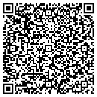 QR-код с контактной информацией организации Чапурин, ИП