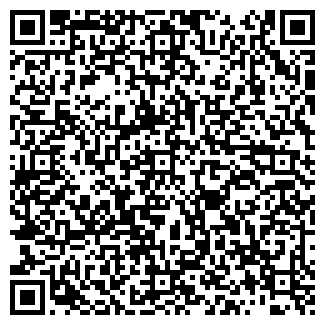 QR-код с контактной информацией организации Сантехник, ИП