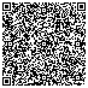 QR-код с контактной информацией организации Терешко Д. А. (Belstrahovka), ИП