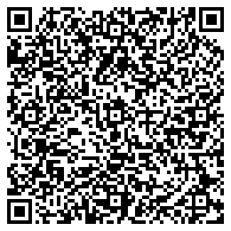 QR-код с контактной информацией организации Вэлин, ЧУП
