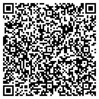 QR-код с контактной информацией организации ИП Аметбаева