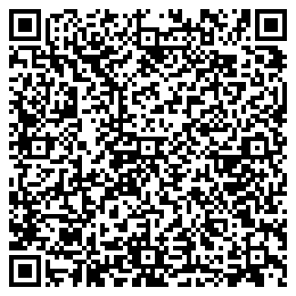 QR-код с контактной информацией организации Mobilbar