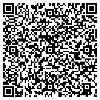 QR-код с контактной информацией организации Мамбо, ООО